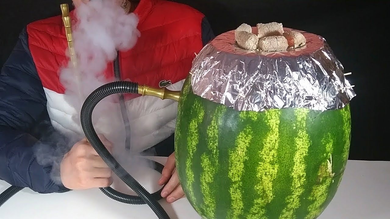 DIY Homemade Watermelon Hookah YouTube