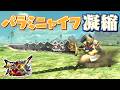 【MHXX】ピリリと痺れる一振りの太刀、「パラミニャイフ・凝縮」(ゆっくり実況)