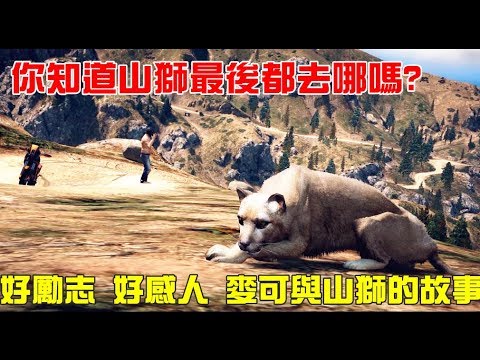 【GTA5】你知道山獅AI設定路線去哪嗎?好勵志好感人 麥可與山獅的故事