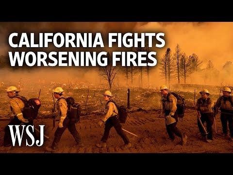 Video: Architect Firefighting