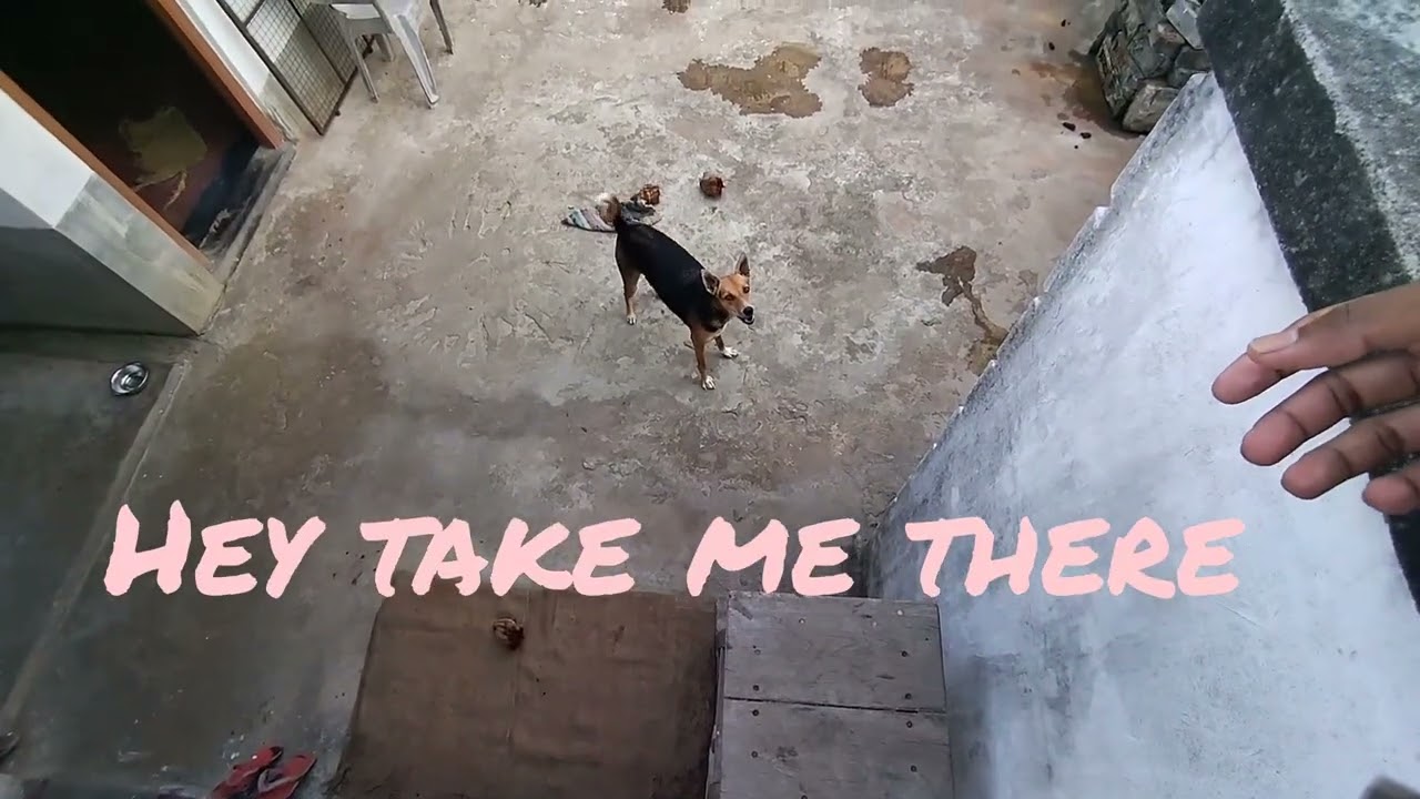 Charlie's behaviour with me(A SHORT FILM)