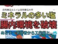 ぬちまーすは危険な塩🥶自然療法士ルイさんが動画を出し中国の塩を紹介🤔ぬちまーす信者から工作員扱いされたと発言し笹谷さんのオーストラリア塩を推奨売り切れに😳自然派のグループからは怪しいと話題に
