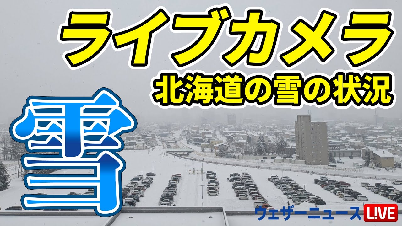 【雪ライブカメラ】北海道 道東の雪の様子
