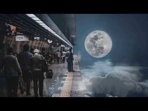 Peyk Derdini Bul Sözleri