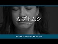 カブトムシ/aiko【葛原豊 cover】