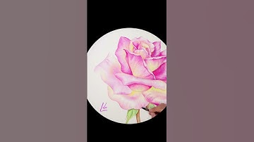 How to paint a simple watercolor rose flower/Cách vẽ màu nước đơn giản hoahồng#watercolor #painting