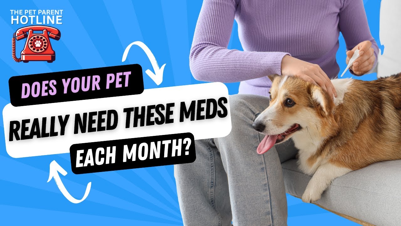 Do Pets Really Need Year‑Round Flea, Tick & Heartworm Meds? Do Pets Really Need Year‑Round Flea, Tick & Heartworm Meds?