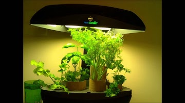 Growing Garden with Raspberry Pi HD