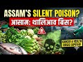 Assam’s Silent Food Crisis Exposed | The Poison on Your Plate (BTR &amp; NE India)