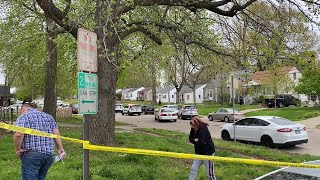 Heavy Springfield Police Presence