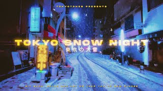 Tokyo Snow Night | 東京の大雪
