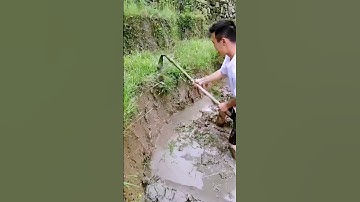 Weeding process in the farmland; good tools can improve work efficiency.