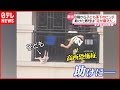 【まさか】高所恐怖症の“スパイダーマン”子ども落下のピンチ救う「下を見る勇気なかった」