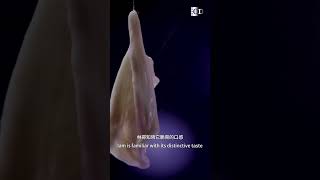 Most tasty part of fish organs🐟 are usually wasted | China Documentary