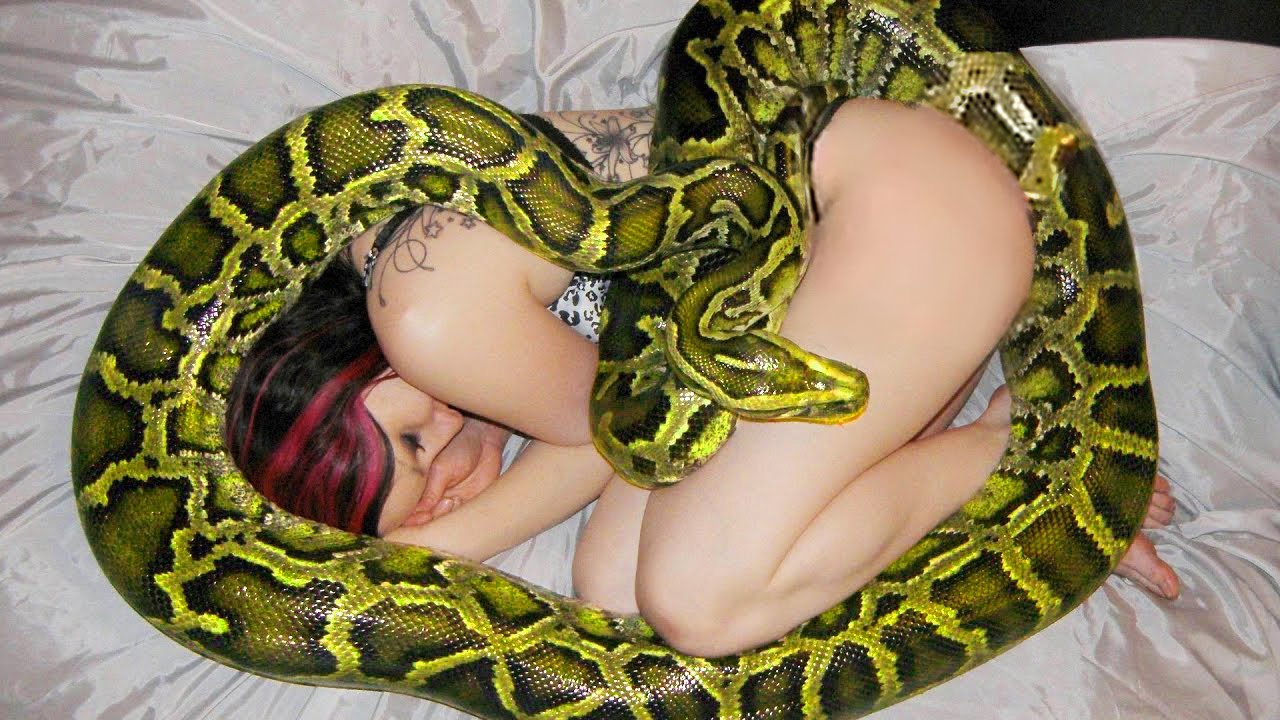 порно как засовывают змею фото 57