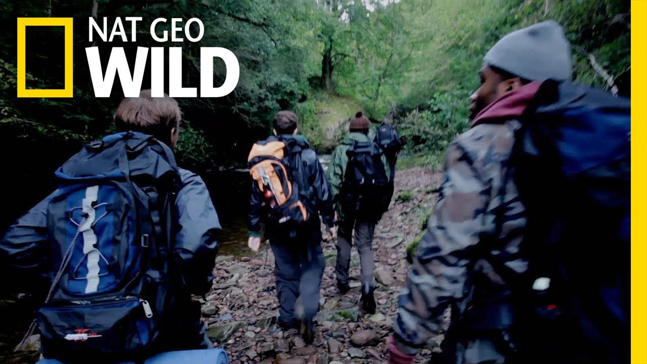 nat geo wild logo Hikers Beware | Dead or Alive