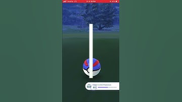 Random Encounter Shiny Vulpix plus Evolution into Shiny Ninetales in Pokémon Go