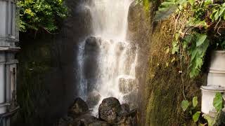 A Harmony Confluence (Cascades XXI)