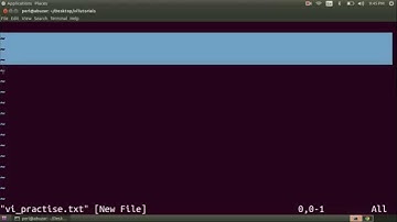 How to invoke vi /vim in Linux?  (vi for beginners Part 3)