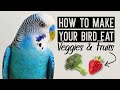 How to Make Your Bird Eat Fruits & Vegetables