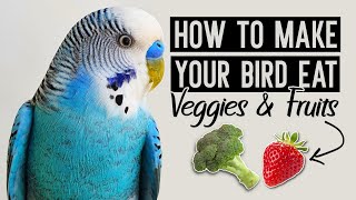 How to Make Your Bird Eat Fruits \& Vegetables