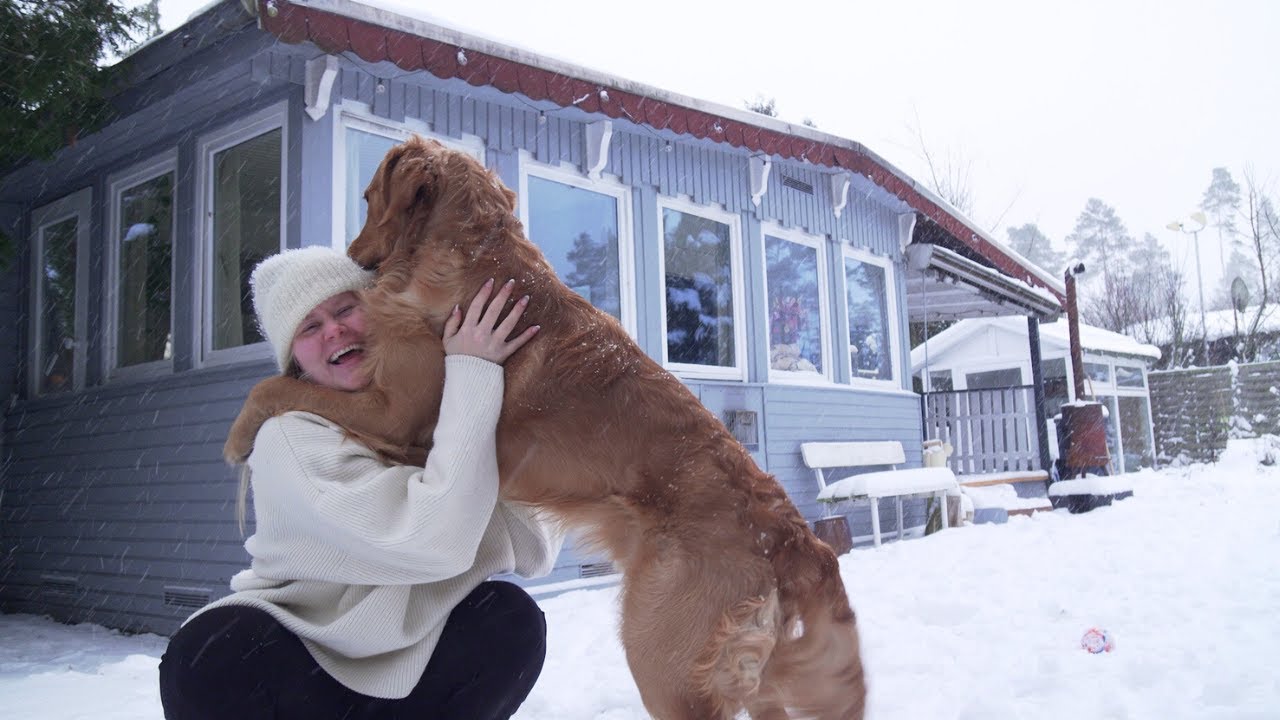 Mein Leben ist langweilig (und ich liebe es) | Tiny House Vlog im Winter