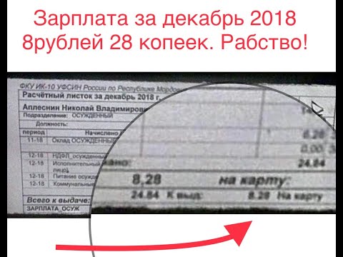 Видео: Заводчика собак обвинили в пытках за незаконное обрезание ушей