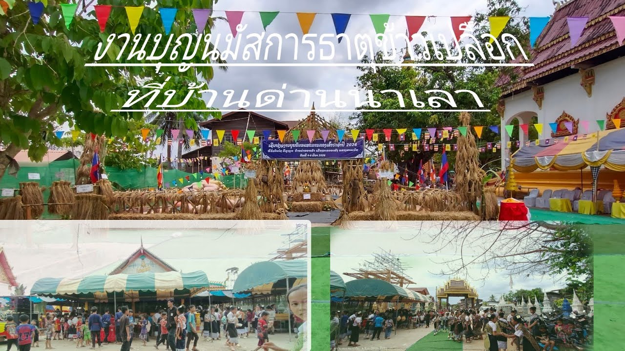 Ep1     .4 มีนาคมงานบุญธาตุข้าวเปลือกที่บ้านด่านนาเลา