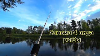 Рыбалка с ультралайтом  на реке Свислочь | На что ловить окуня весной?