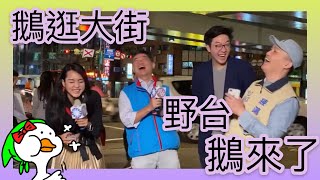 1091029［鵝逛大街］🇹🇼野台鵝來了