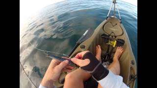 Samsonfish jigging and popping from a kayak! The Average Angler fishing adventures