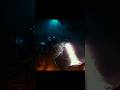 Legendary godzilla 🗿- Godzilla edit | Surya_Edit07 | #shorts#shortsfeed#godzilla