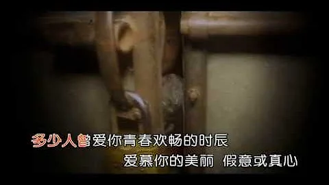 赵照-当你老了 - 天天要闻