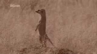 L.B Dub Corp - Ever and Forever (Ostgut Ton)