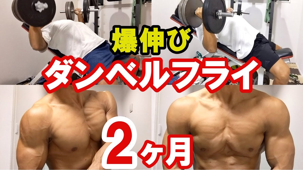 胸トレ】ダンベルフライ(プレス)を2ヶ月ほぼ毎日やった結果【大胸筋