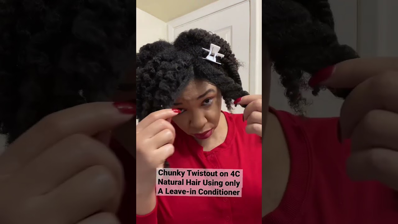 Chunky Twistout on 4C Natural Hair Using a Leave-in Conditioner 