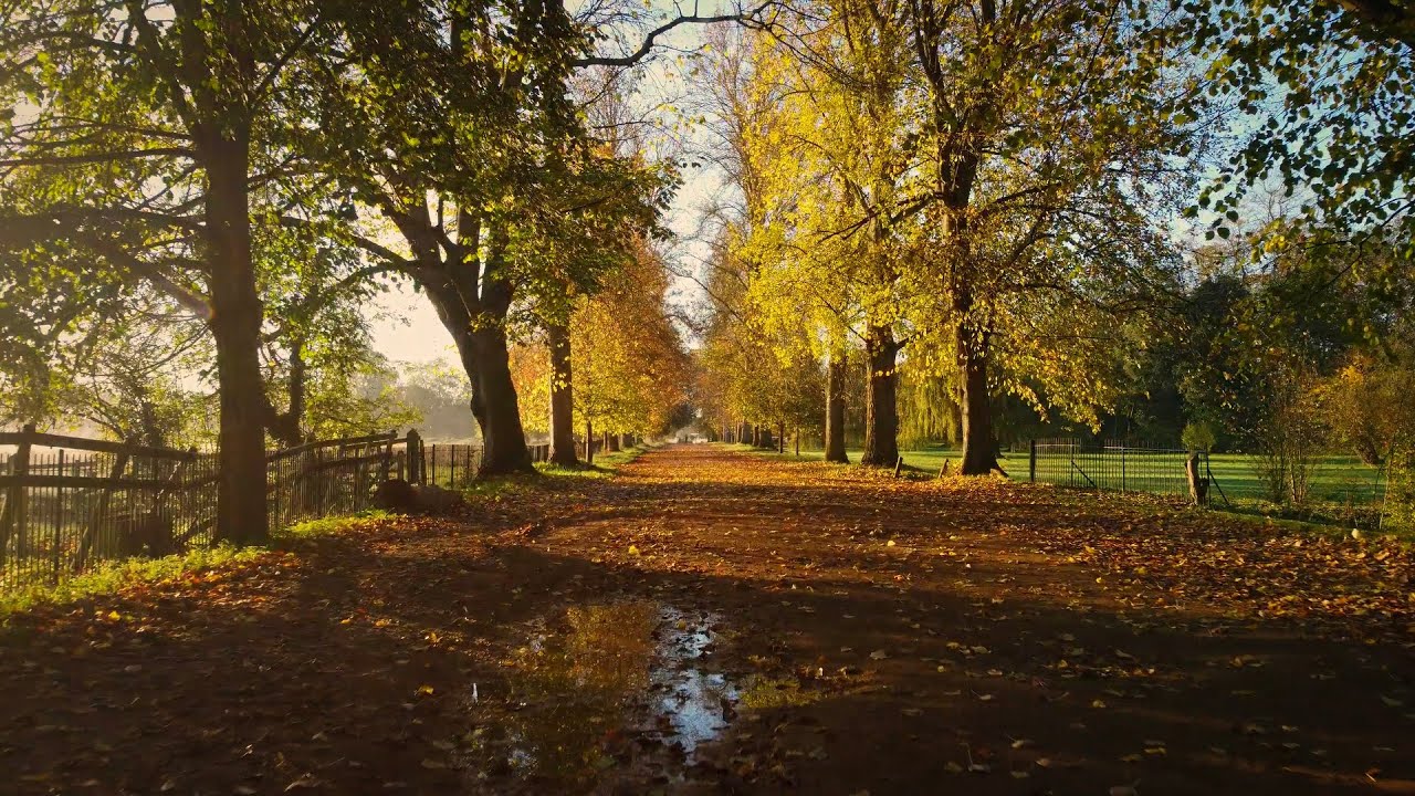 Dreamlike: Autumn dawn by the river - YouTube