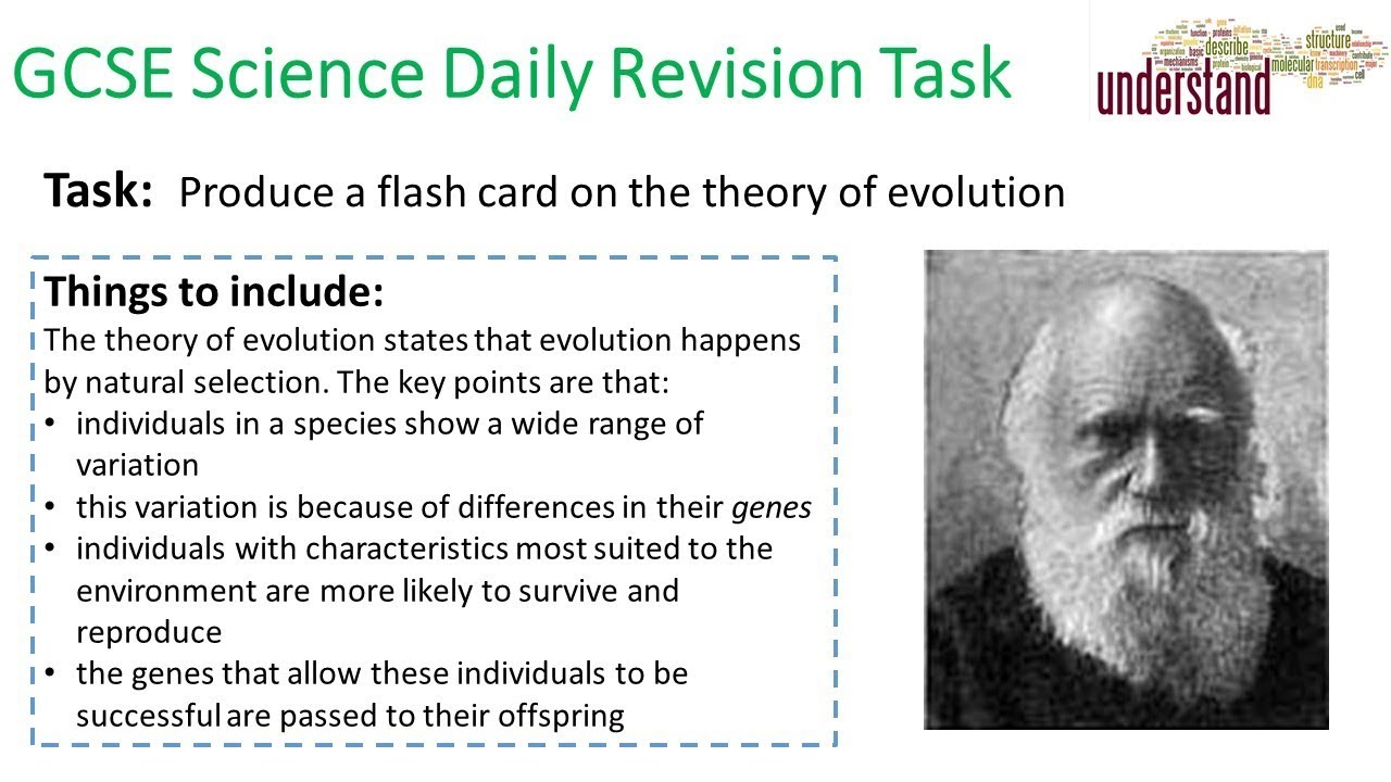 GCSE Science Daily Revision Task 202 - YouTube