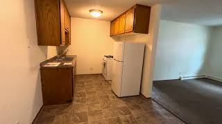 Tour This Roomy 2-Bedroom In Mounds View With Mive Walk-In Closets