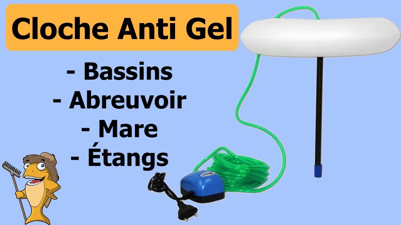 Chauffage, cloche antigel et thermomètre pour bassin