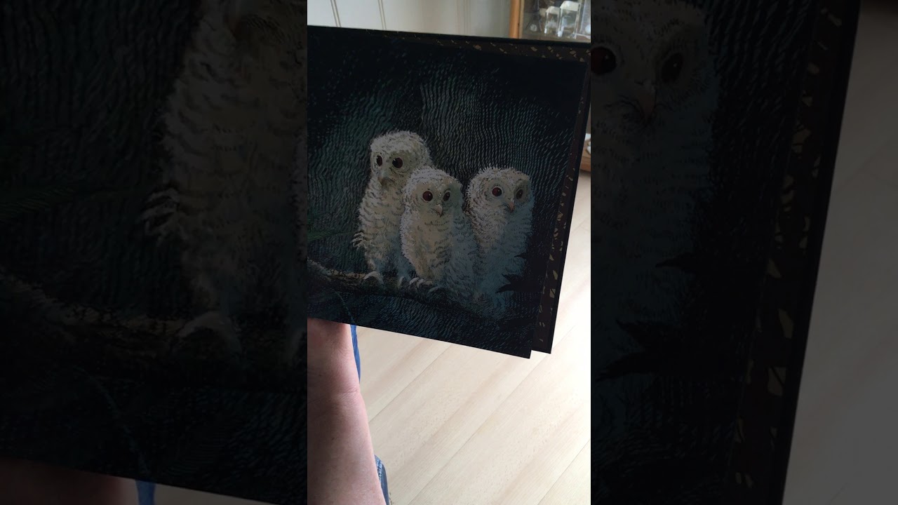 Voorleesjuf Connie leest voor! Boekje 1: Uilskuikentjes