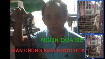 Rắn chung khìa nước dừa.Chia sẽ cách làm món ăn ngon