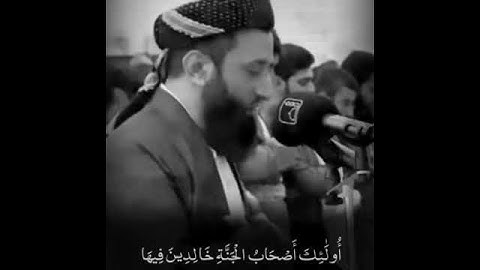 ما شاء الله صوت يريح القلب من القارئ