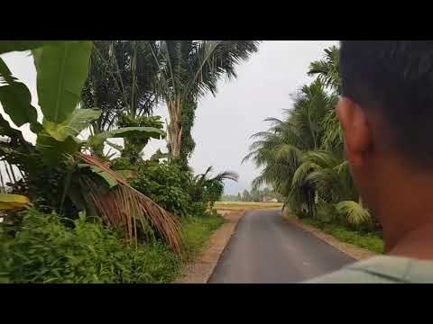 padiah batenggang surang - Alm. zalmon