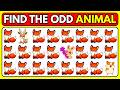 Find the ODD One Out – Animal Edition 🐯 | Easy, Medium, Hard – Level 99 | Mindful Mosaic 2.0