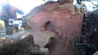 Stihl 090 60 B&C Cutting Redwood table tops