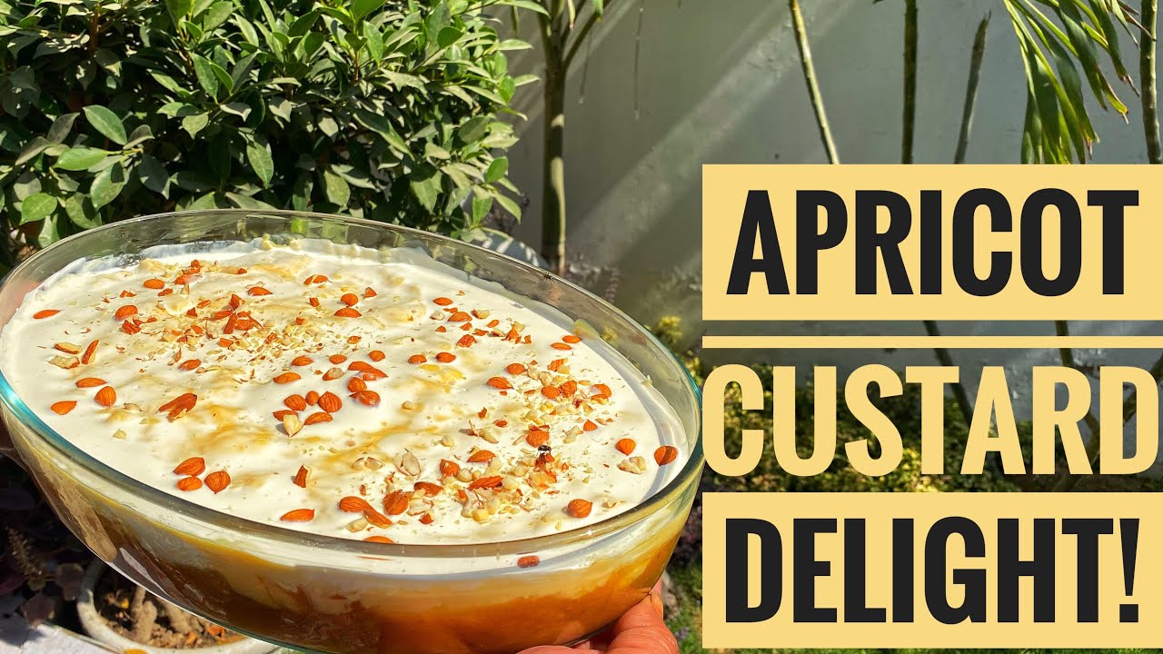 APRICOT CUSTARD DELIGHT dessert How to make dessert from dry fruit