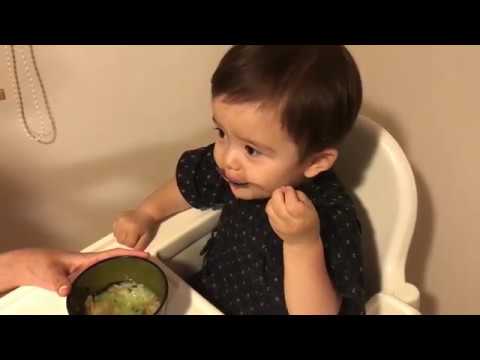 可愛すぎるサムライ お茶漬け食べてみた Youtube