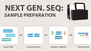 2) Next Generation Sequencing (NGS) - Sample Preparation