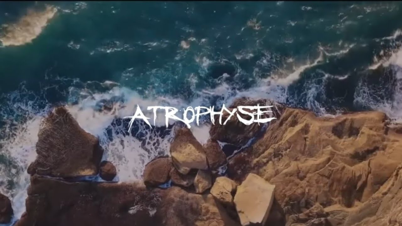 W&W VS Zara Larsson - I Will Never Forget The One [Atrophyse Hardstyle Edit]